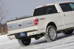 Ford F-150 Platinum 4x4 2009 года